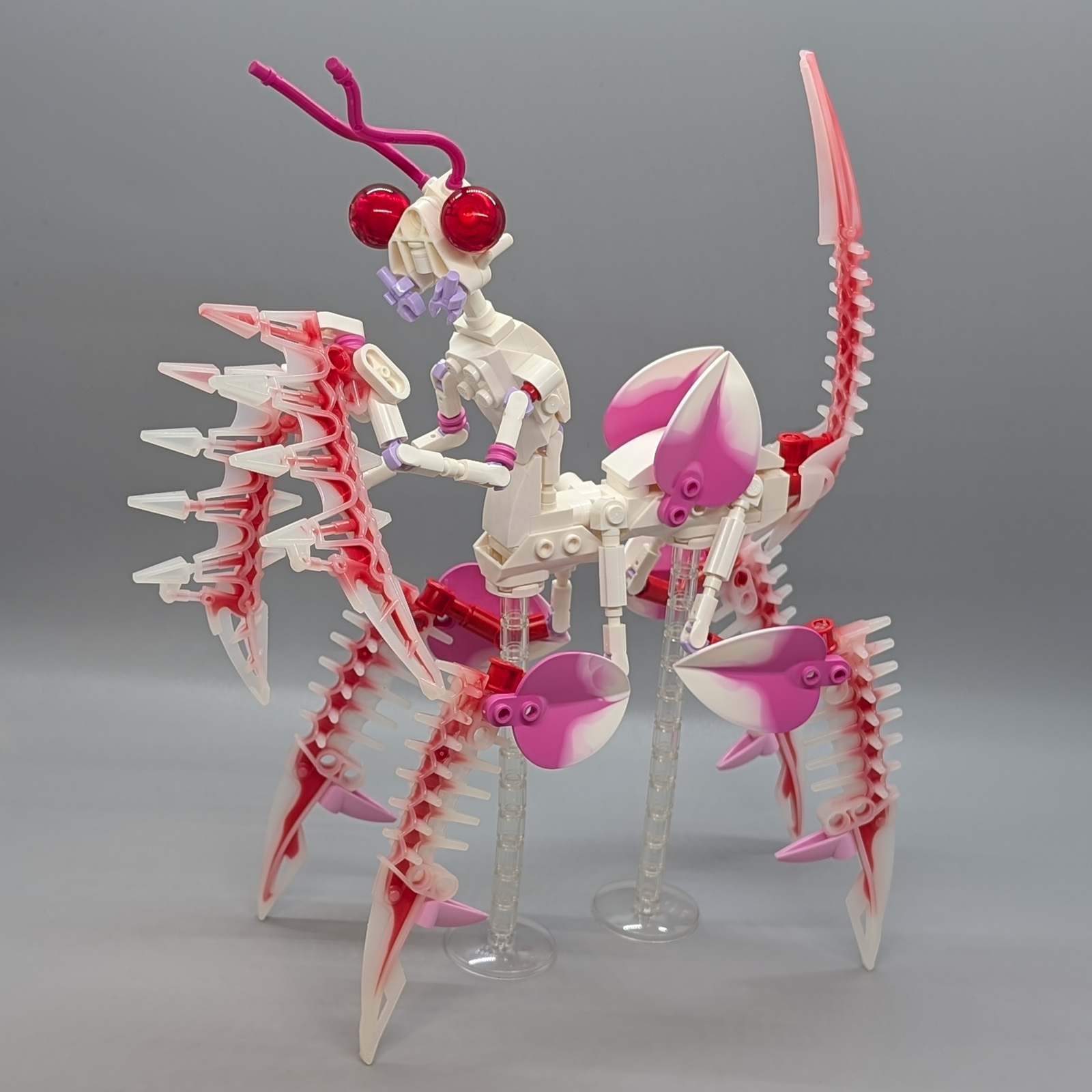 Orchid Mantis